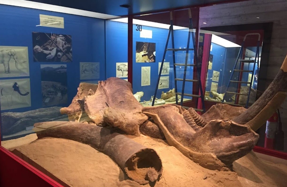 Malmerendi Museum of Natural Science, Italy